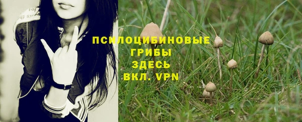 хмурый Балахна