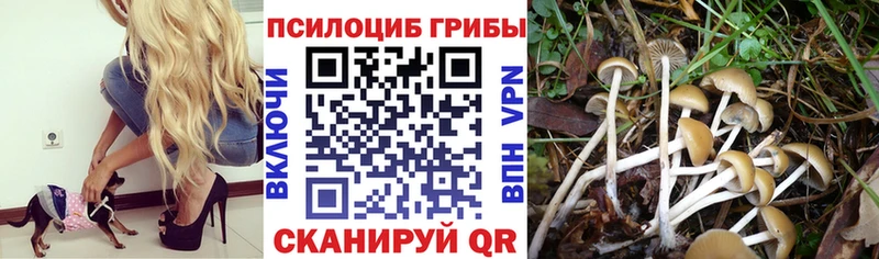 Галлюциногенные грибы прущие грибы  Афипский 
