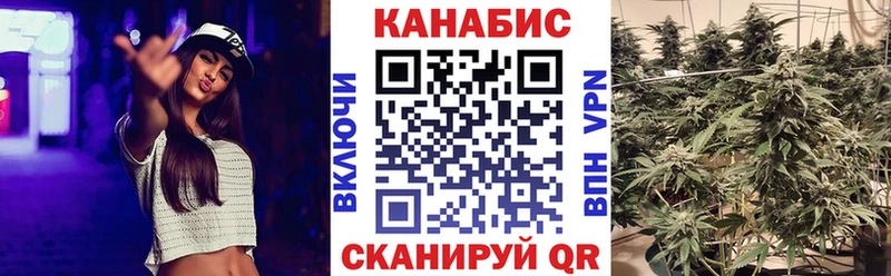 Конопля гибрид  продажа наркотиков  Афипский 